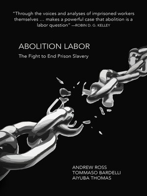 cover image of Abolition Labor
